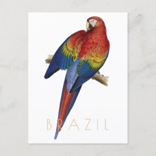 -Braziliaans briefkaart Macaw
