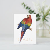 -Braziliaans briefkaart Macaw (Staand voorkant)