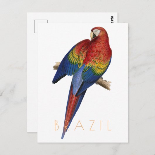 -Braziliaans briefkaart Macaw (Voorkant / Achterkant)