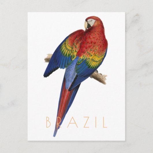 -Braziliaans briefkaart Macaw (Voorkant)