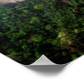 Braziliaans regenwoud poster (Hoek)