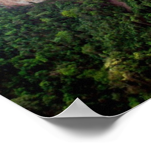 Braziliaans regenwoud poster (Hoek)