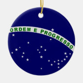 Braziliaans zegel keramisch ornament (Voorkant)