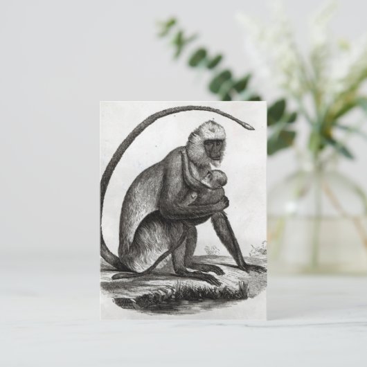 Braziliaanse aap briefkaart (Staand voorkant)