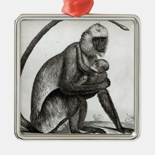 Braziliaanse aap metalen ornament (Voorkant)