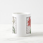 BRAZILIAANSE AMARYLLIS KOFFIEMOK (Center)