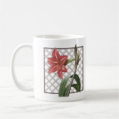 BRAZILIAANSE AMARYLLIS KOFFIEMOK (Links)