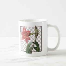 BRAZILIAANSE AMARYLLIS KOFFIEMOK