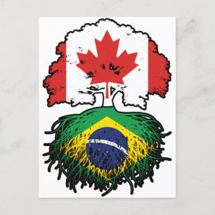 Braziliaanse Braziliaanse Canadese vlag voor booms Briefkaart