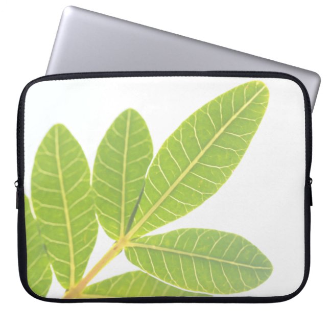 Braziliaanse Holly Plant Leaf Pattern Laptop Sleev Sleeve (Voorkant)