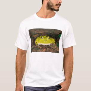 Braziliaanse hoornkikker, Ceratophrys cornuta, 2 T-shirt