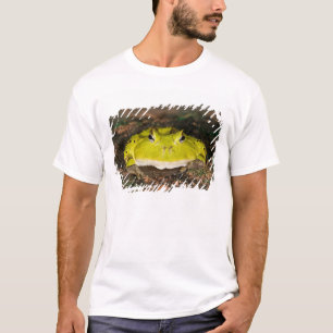 Braziliaanse Hoornkikker, Ceratophrys cornuta, 2 T-shirt