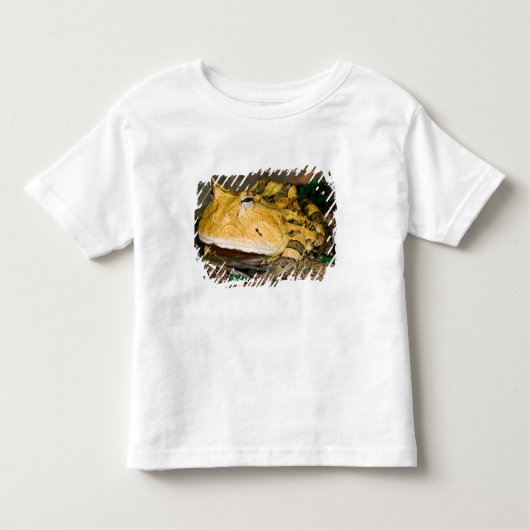 Braziliaanse Horn Frog, Ceratophrys cornuta, 3 Kinder Shirts (Voorkant)
