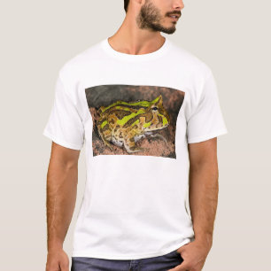 Braziliaanse Horn Frog, Ceratophrys cornuta, Nativ T-shirt