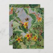 Braziliaanse Klimmende Struik en Kolibries, Briefkaart (Voorkant / Achterkant)