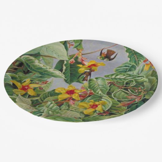 Braziliaanse klimwand en vogelstand papieren bordje (Gekanteld)