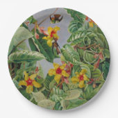 Braziliaanse klimwand en vogelstand papieren bordje (Voorkant)