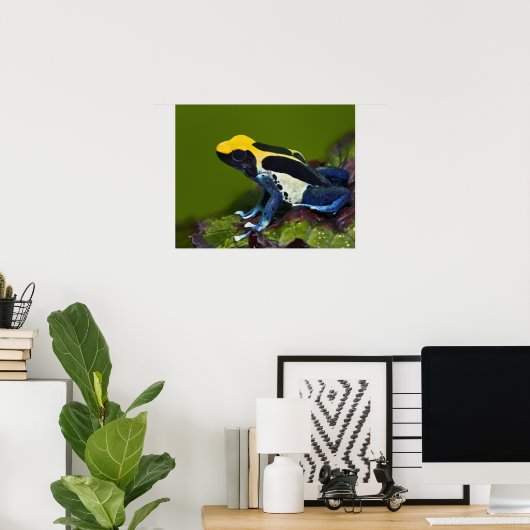 Braziliaanse kobalt Dart Frog, Dendrobates Poster (Thuiskantoor)