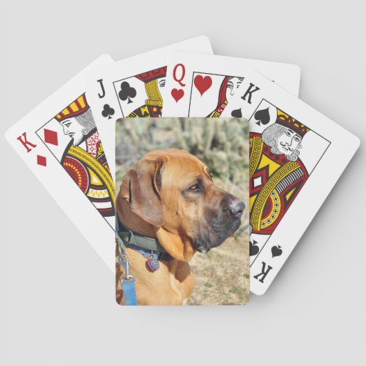 Braziliaanse Mastiff-speelkaarten Pokerkaarten (Achterkant)
