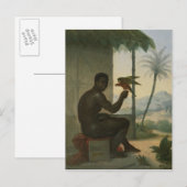 Braziliaanse neger met tropische vogel briefkaart (Voorkant / Achterkant)
