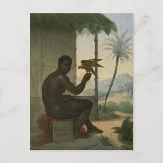 Braziliaanse neger met tropische vogel briefkaart (Voorkant)