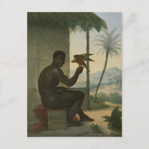 Braziliaanse neger met tropische vogel briefkaart