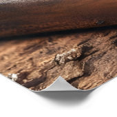 Braziliaanse Picanha Burger 24x36 Poster (Hoek)