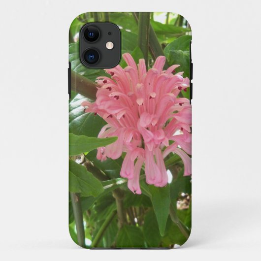 Braziliaanse pluim bloem Case-Mate iPhone case (Achterkant)