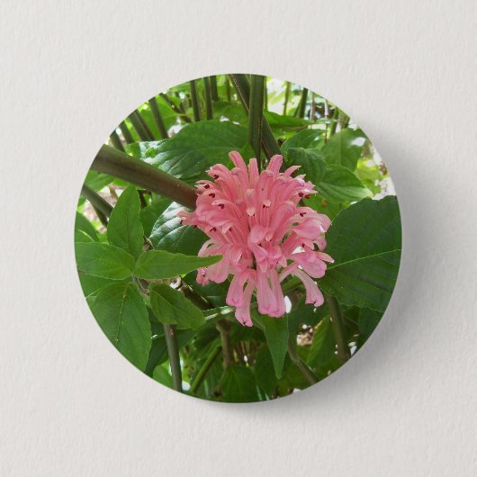 Braziliaanse pluim bloem ronde button 5,7 cm (Voorkant)