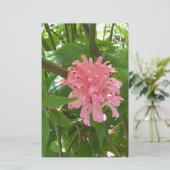 Braziliaanse pluim briefpapier (Staand voorkant)