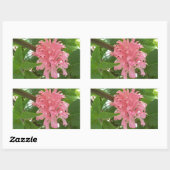 Braziliaanse pluim rechthoekige sticker (Vel)