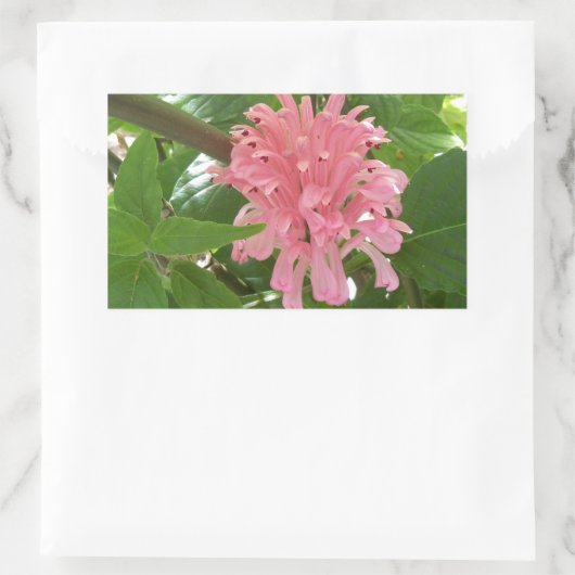 Braziliaanse pluim rechthoekige sticker (Tas)