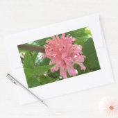 Braziliaanse pluim rechthoekige sticker (Envelop)