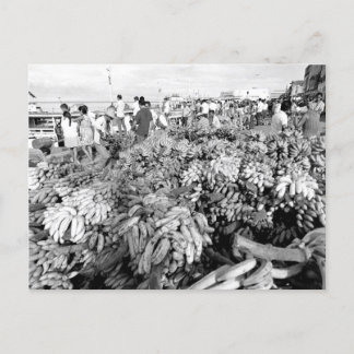  Braziliaanse riviermarkt Briefkaart