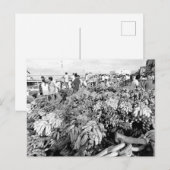  Braziliaanse riviermarkt Briefkaart (Voorkant / Achterkant)