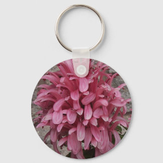 Braziliaanse sleutelhanger van plumebloem