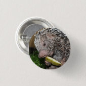 Braziliaanse stekelvarken of stekelstaarten ronde button 3,2 cm (Voorkant /achterkant)