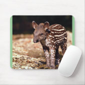 Braziliaanse Tapir, jong kalf naast de rivier Muismat (Met muis)