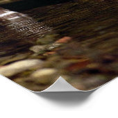 Braziliaanse Tapir, jong kalf naast de rivier Poster (Hoek)