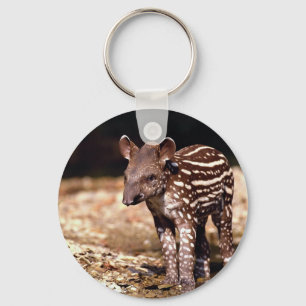 Braziliaanse Tapir, jong kalf naast de rivier Sleutelhanger