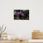 Braziliaanse Tapir (Tapirus terrestris) Poster (Keuken)