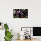 Braziliaanse Tapir (Tapirus terrestris) Poster (Thuiskantoor)