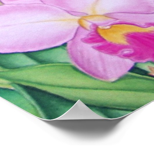 Braziliaanse Toucan in het Amazonegebied Poster (Hoek)