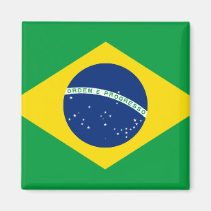 Braziliaanse vlag magneet