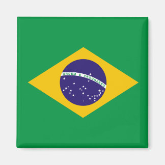 Braziliaanse vlag magneet