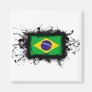 Braziliaanse vlag magneet