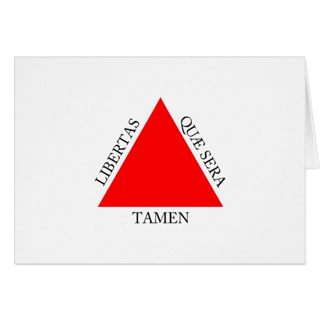 Braziliaanse vlag Minas Gerais (Voorkant Horizontaal)