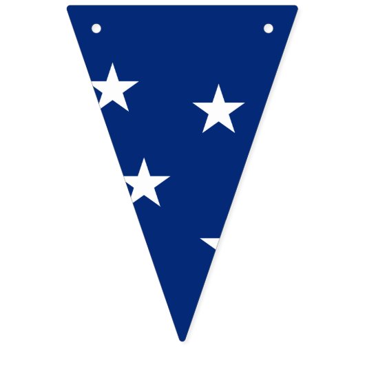 Braziliaanse vlaggenbanner vlaggetjes (Derde vlag)