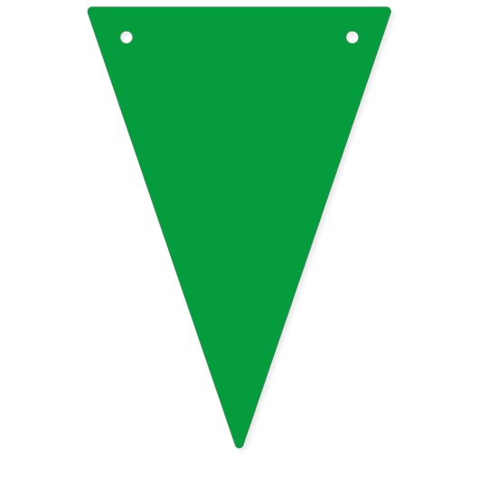 Braziliaanse vlaggenbanner vlaggetjes (Eerste vlag)