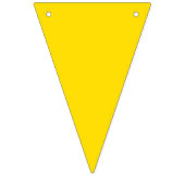 Braziliaanse vlaggenbanner vlaggetjes (Tweede vlag)